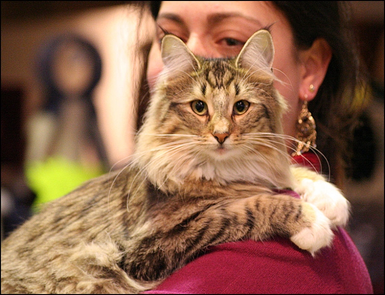 Titran's Mathilde 2.jpg - Titran's Mathilde